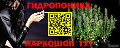 2c-b Рыбинск