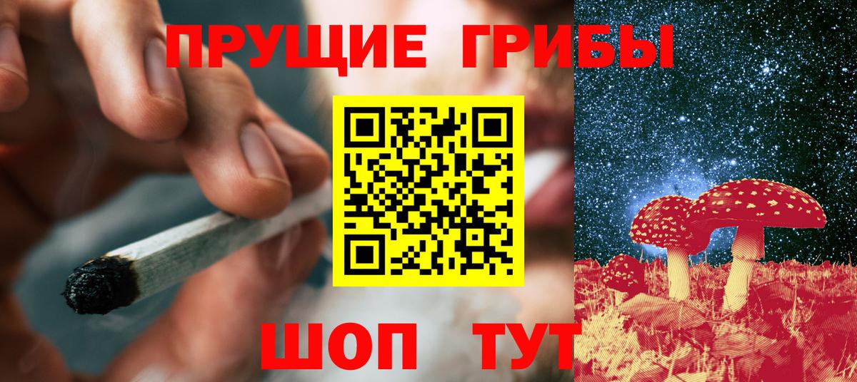 Псилоцибиновые грибы GOLDEN TEACHER Сегежа
