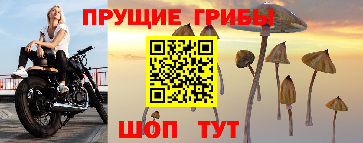 Псилоцибиновые грибы Magic Shrooms  Вход с VPN  Сегежа  Галлюциногенные грибы GOLDEN TEACHER 